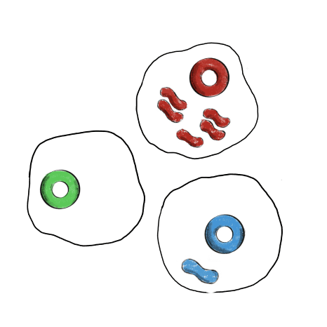 One variant per droplet, a million experiments per round